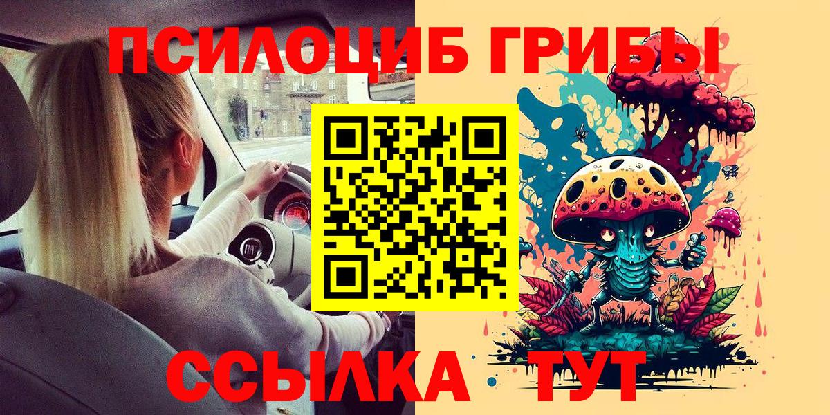 Галлюциногенные грибы MAGIC MUSHROOMS  Вход с VPN  Красноармейск 