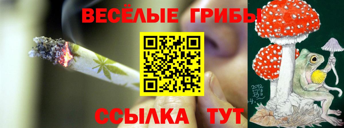 Псилоцибиновые грибы Psilocybine cubensis Красноармейск